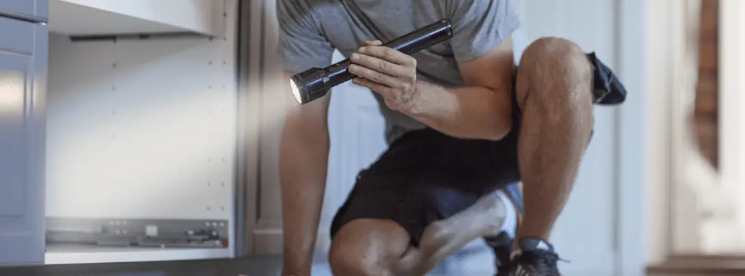 skadedyr aarsrud bygg